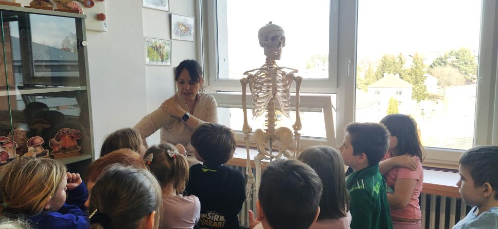 Jak Medvíďata z I.B poznávala lidské tělo